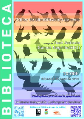 Taller de identificación de aves