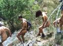 `Castaños del Genal´ Trekking route