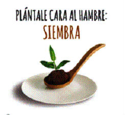 Taller de Manualidades Manos Unidas
