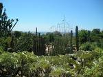 Paseo Botánico por el Parque de la Paloma: árboles y mitología