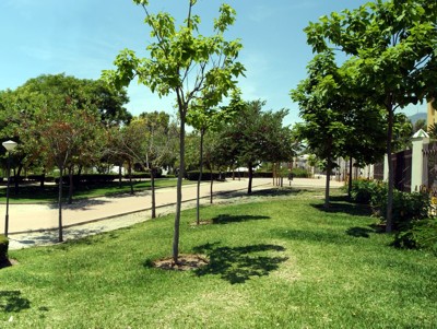 Plantación Popular en el Parque Al-Baytar.