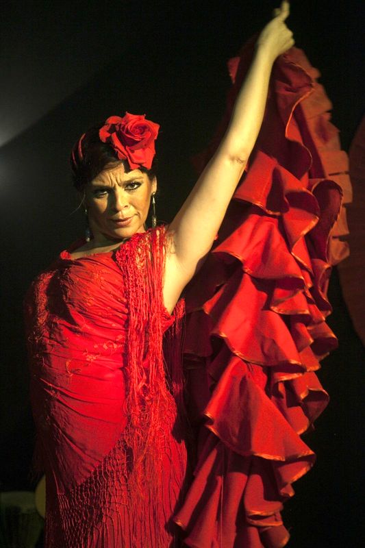 NOCHES DE FLAMENCO EN EL MUSEO: Luna Flamenca. 