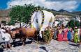 Romeria de Ntra. Sra. de la Cruz