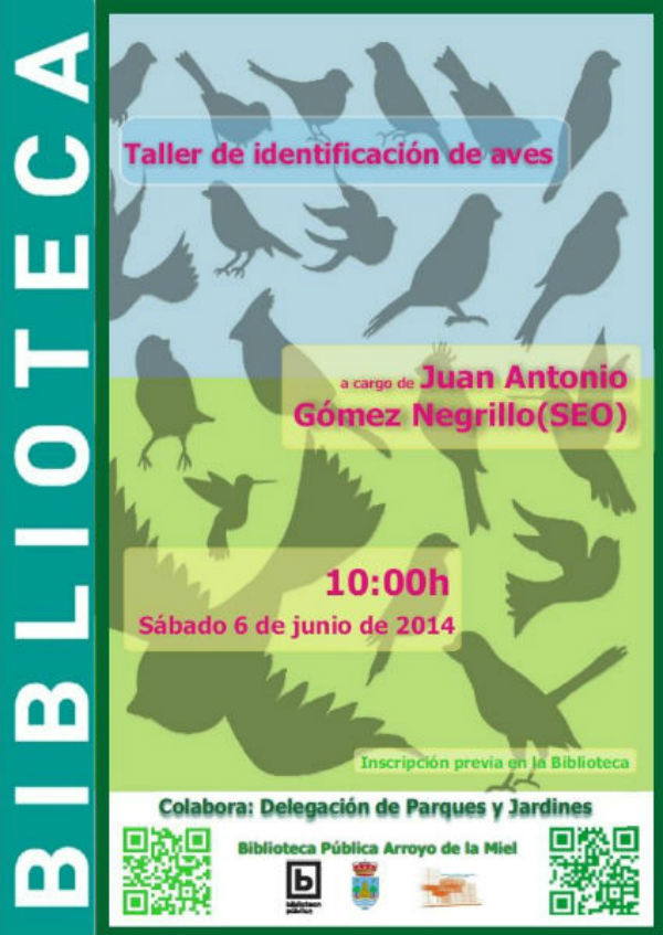 Taller de identificación de aves